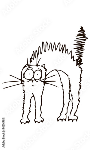 Кот встапорщился