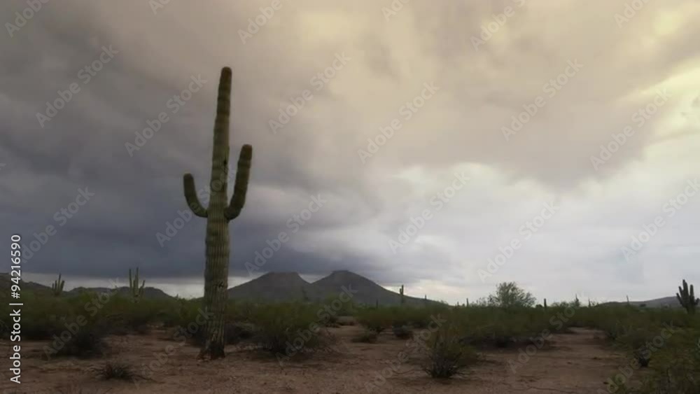 Saguaro with Passing Thunderstorm Wide Saguaro with Passing Thunderstorm Wide