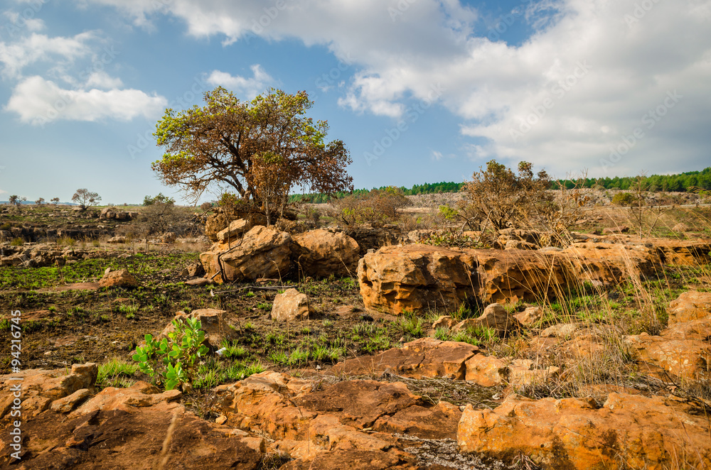 Terra rossa, Mpumalanga - Sudafrica