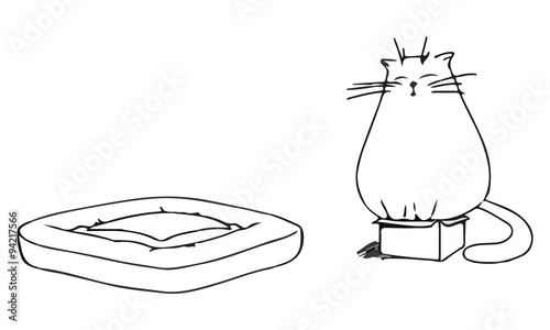 Кот сидит в коробке