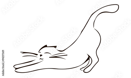 Кошка потягивается