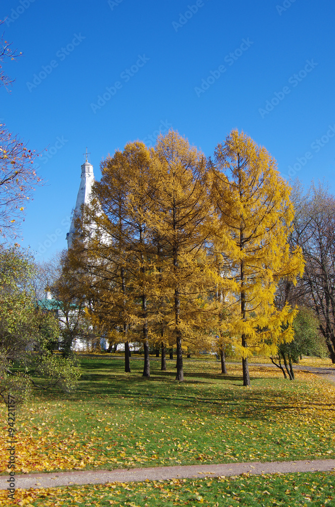 MOSCOW, RUSSIA - October 21, 2015: Autumn day in the Kolomenskoy