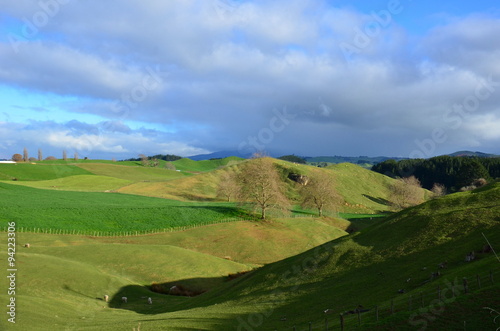 Paysage vert de Nouvelle-zélande  photo