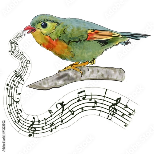 bird on branch singing a song, notes