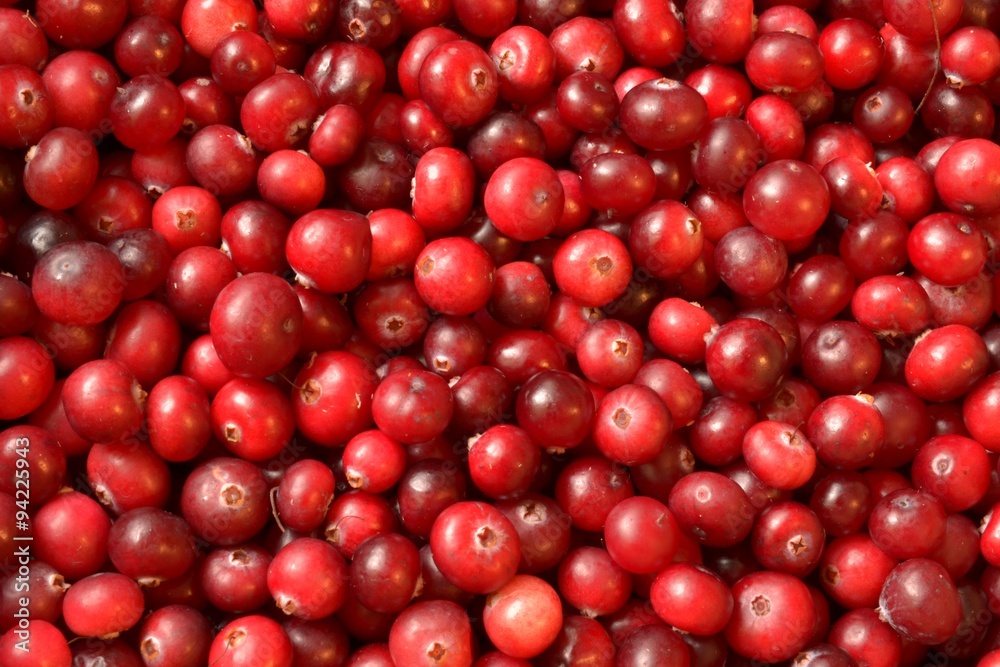 colorful red cranberries background close up lying on the surface colorful red cranberries background close up lying on the surface