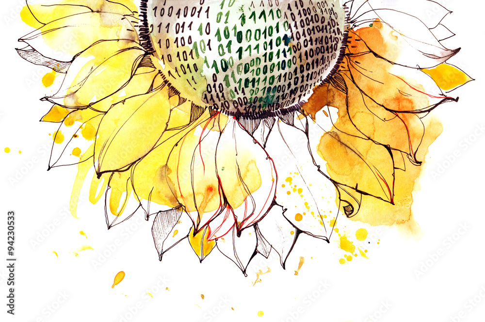 Obraz premium sunflower