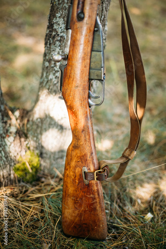 Old soviet rifle of World War II leaning against trunk of tree photo