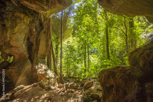 Fototapeta Naklejka Na Ścianę i Meble -  Tropic jungle cave in thailand krabi lanta