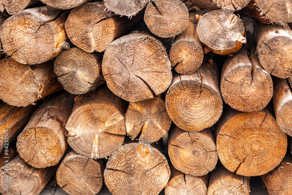 Big pile of logs close up