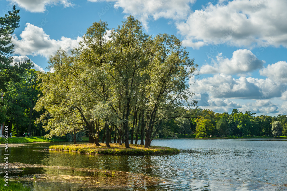 Fototapeta premium Beautiful russian landscape with willows