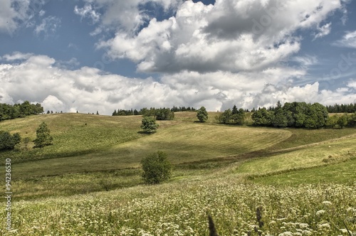 wzgóza
