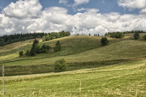 Łąka