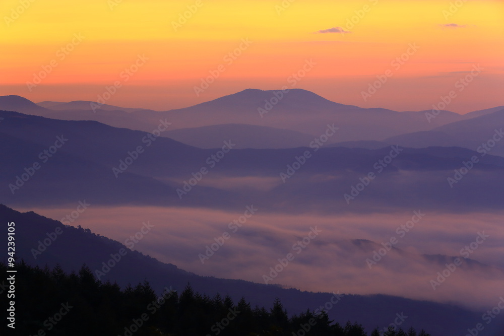 Fototapeta premium 遠野盆地の雲海