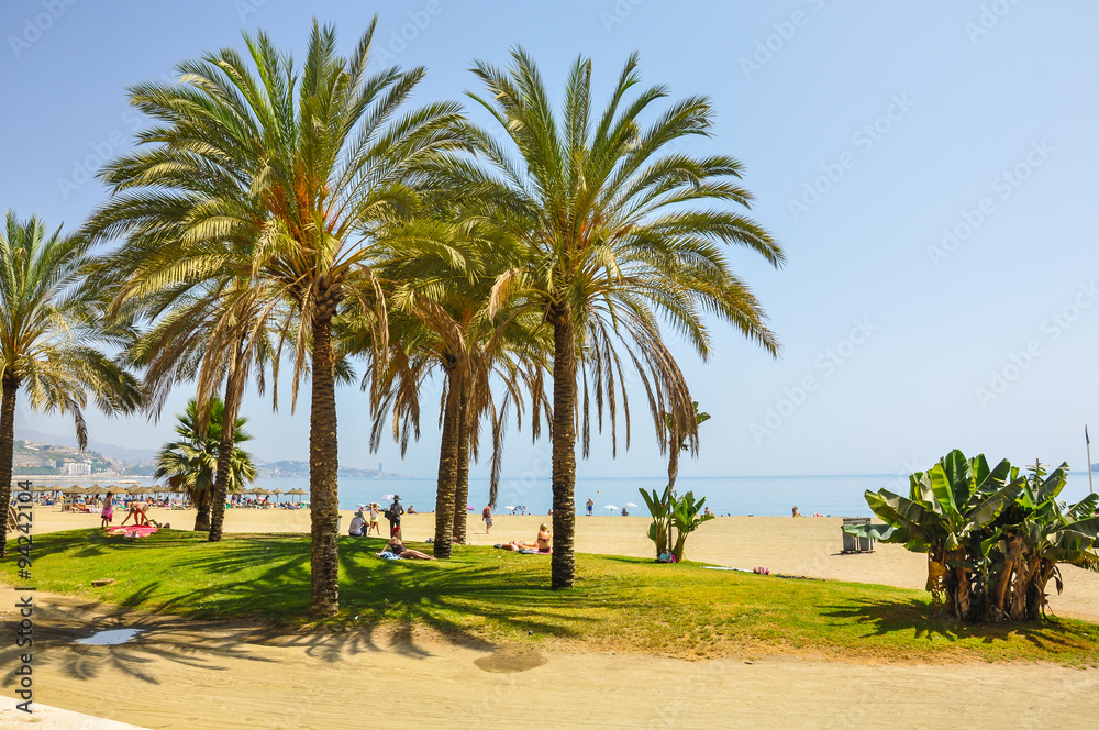Málaga, palmeras en la Playa de la Malagueta, Andalucía, España
