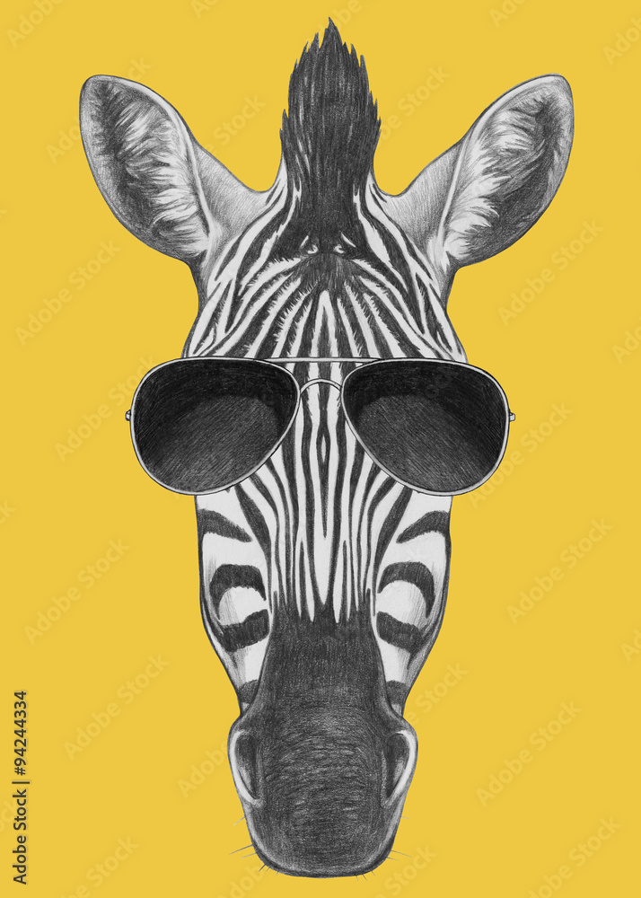 Obraz premium Portrait of Zebra. Hand drawn illustration.