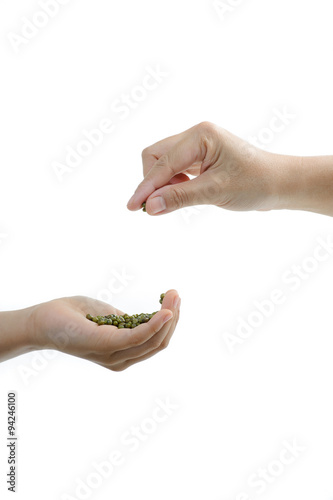 Green gram in hand