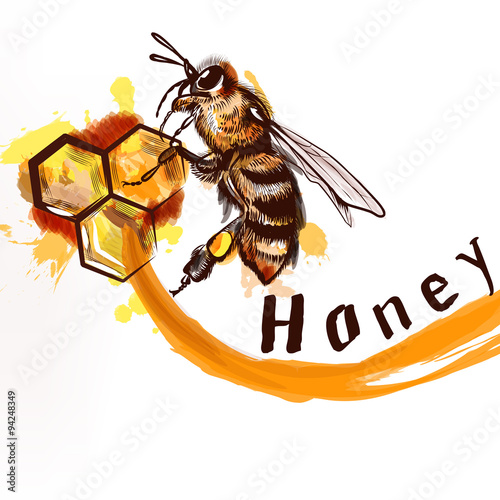Hand painted detailed bee sitting on a comb fully of honey natur