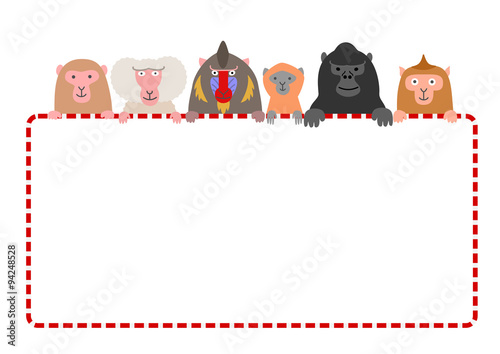 Photography monkies with red and white frame card, white background