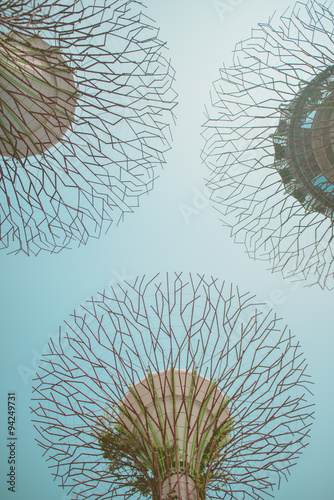 Upside view of The Supertree Grove at Gardens by the Bay in Singapore.