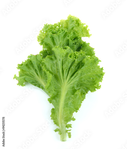 Lettuce isolated on white background