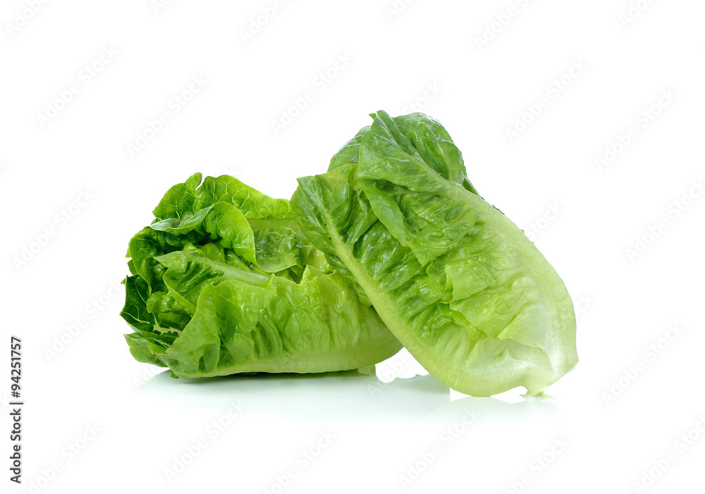 lettuce isolated on white background lettuce isolated on white background