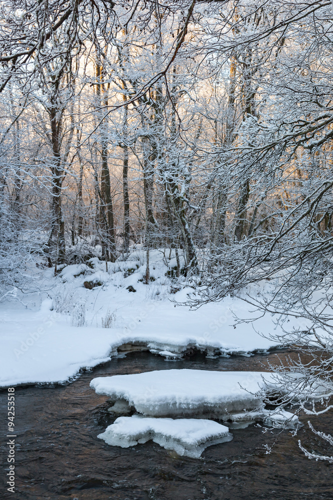 River in winter River in winter