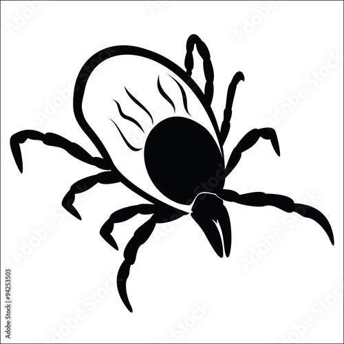 Tick on a white background