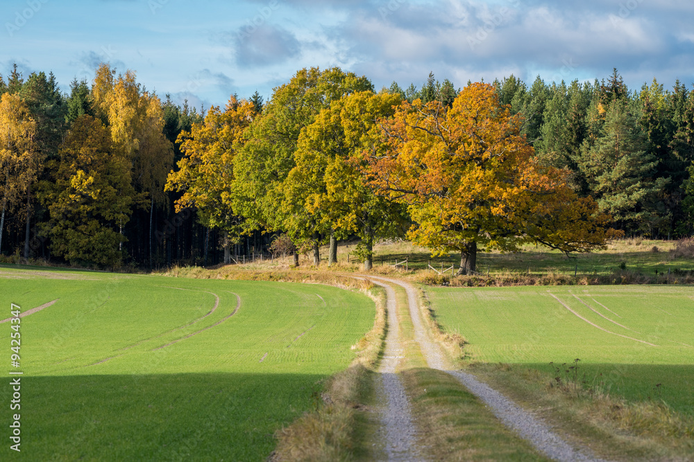 Autumn in the countryside of Vikbolandet in Sweden Autumn in the countryside of Vikbolandet in Sweden
