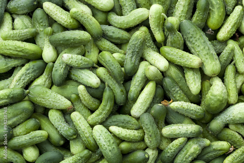 cucumbers cucumbers