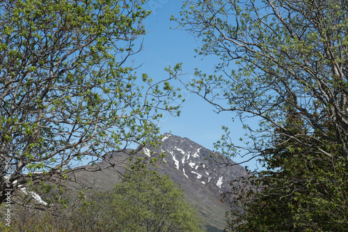 Mountain Landscape photo