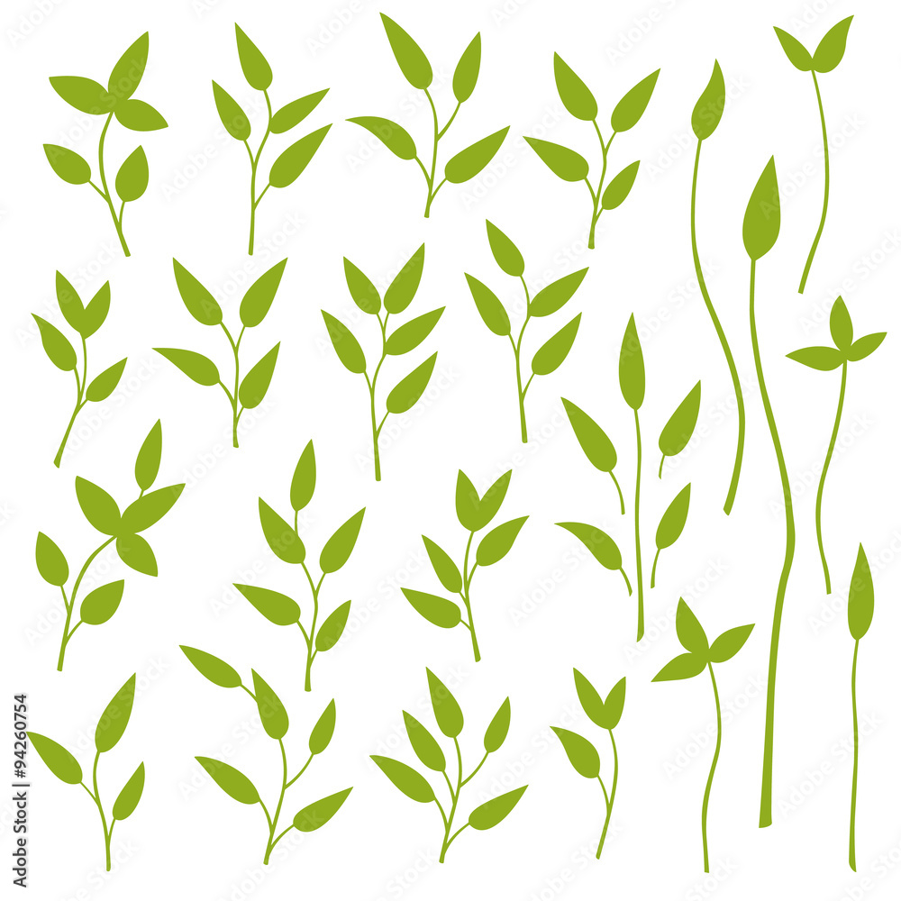 植物のイラスト 植物のイラスト
