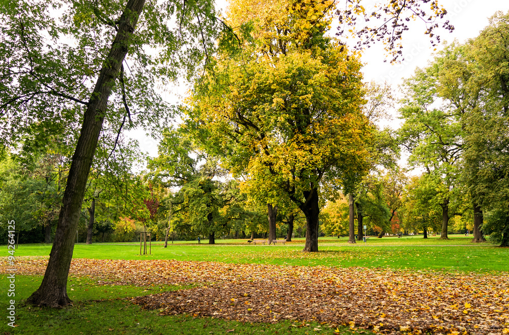 Fototapeta premium Herbst