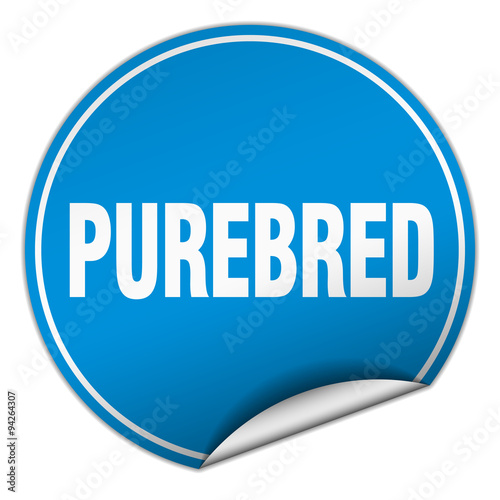 purebred round blue sticker isolated on white