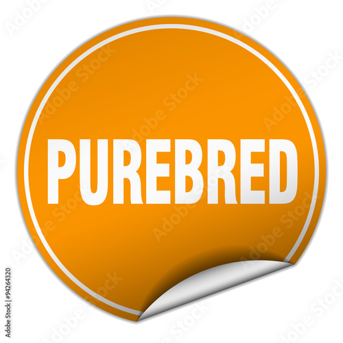 purebred round orange sticker isolated on white