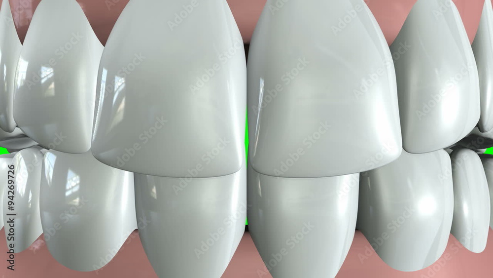 Vidéo Stock A set of human false teeth set in gums opening and closing ...