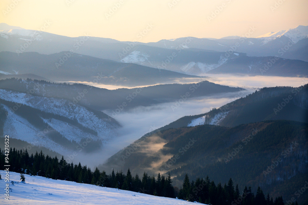 Fog, lit morning sun rises from mountain valleys in winter Carpathians.