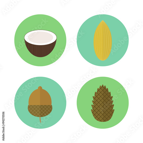 Set of icons nuts. Vector elements for design