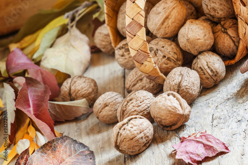 Fresh walnuts spill out of a wicker basket on autumn background
