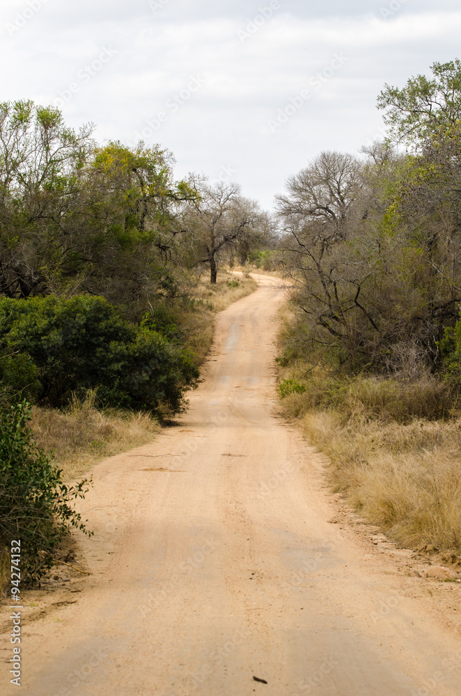 Strada sterrata safari, Kruger Park - Sudafrica