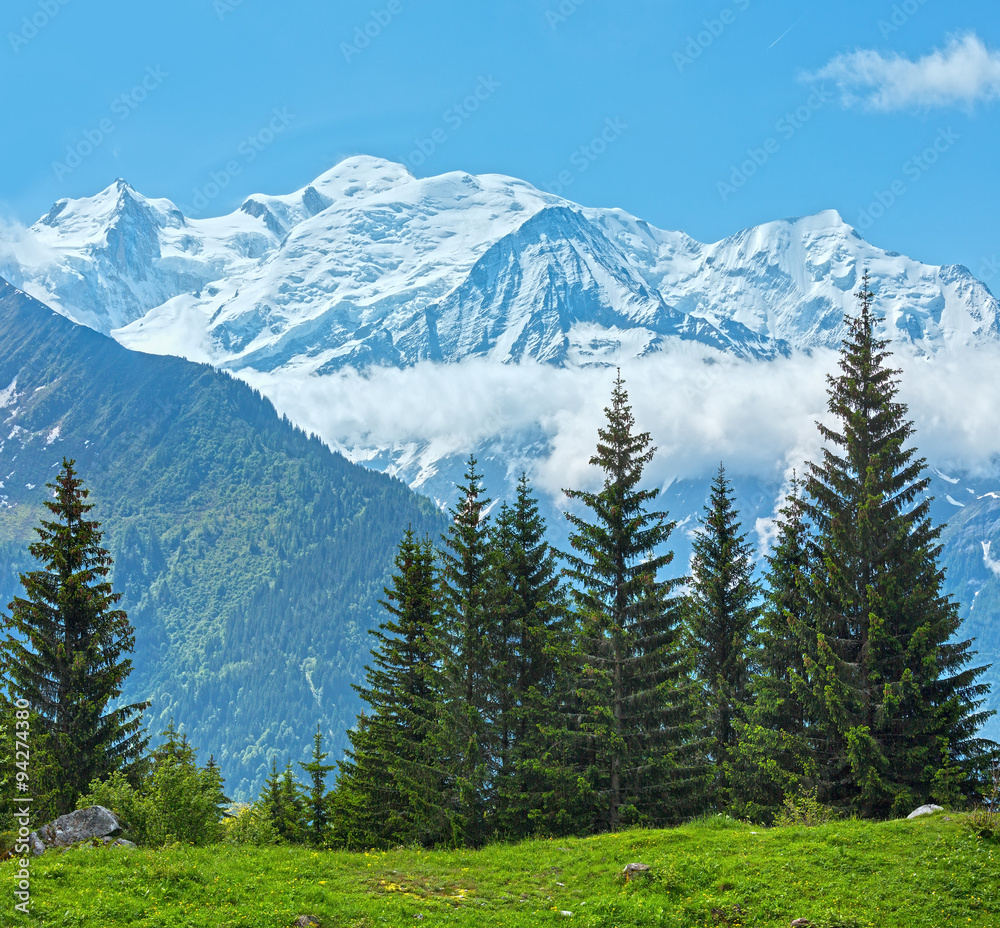 Fototapeta premium Mont Blanc mountain massif (view from Plaine Joux outskirts)
