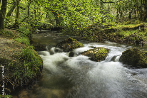 Fototapeta Naklejka Na Ścianę i Meble -  Stunning landscape iamge of river flowing through lush green for