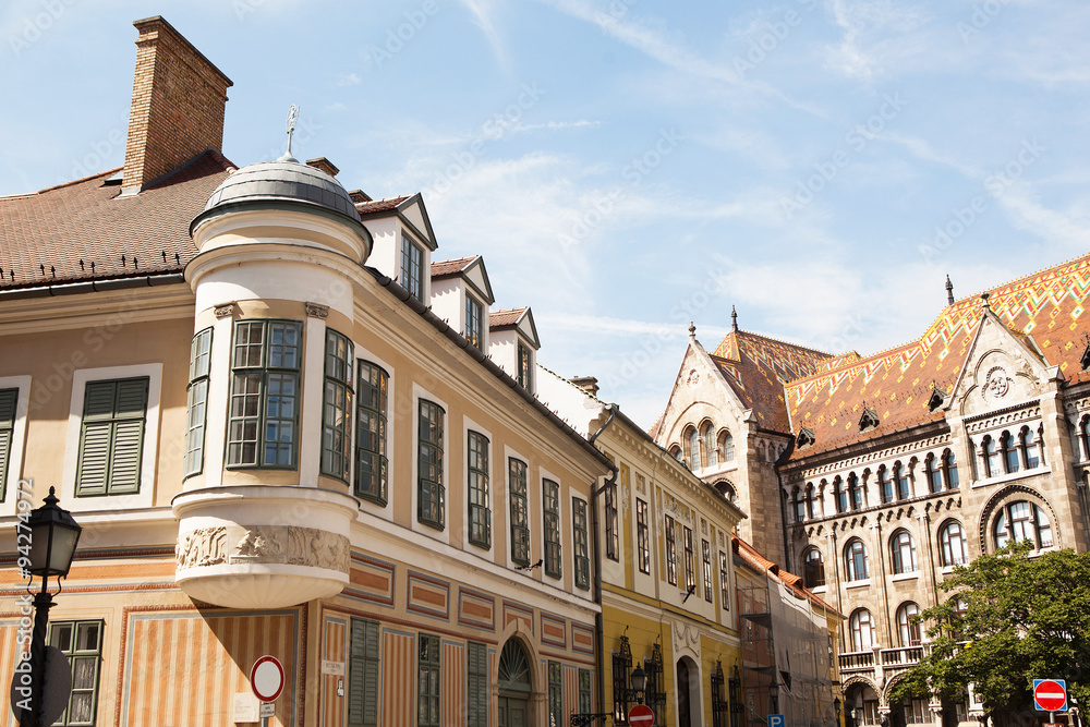 Obraz premium The building in Budapest.