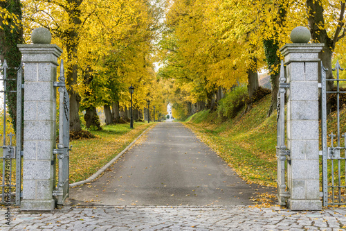 Einfahrt im Herbst