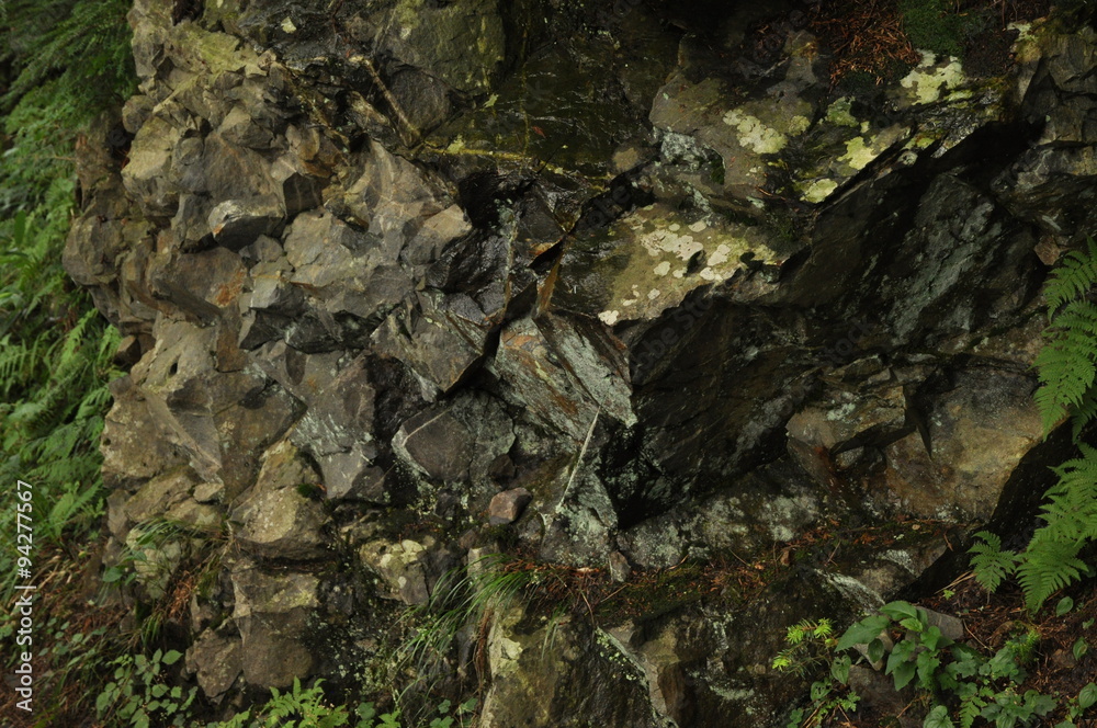 Obraz premium 岩清水 濡れた岩