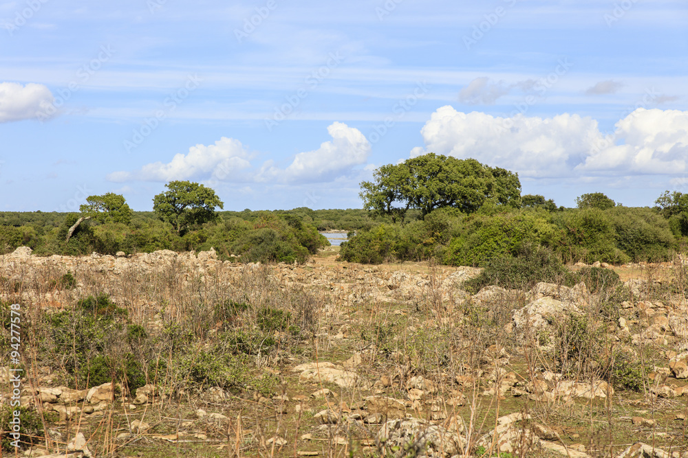 Fototapeta premium Sardinië, hoogvlakte Giara di Gesturi bij Tuili