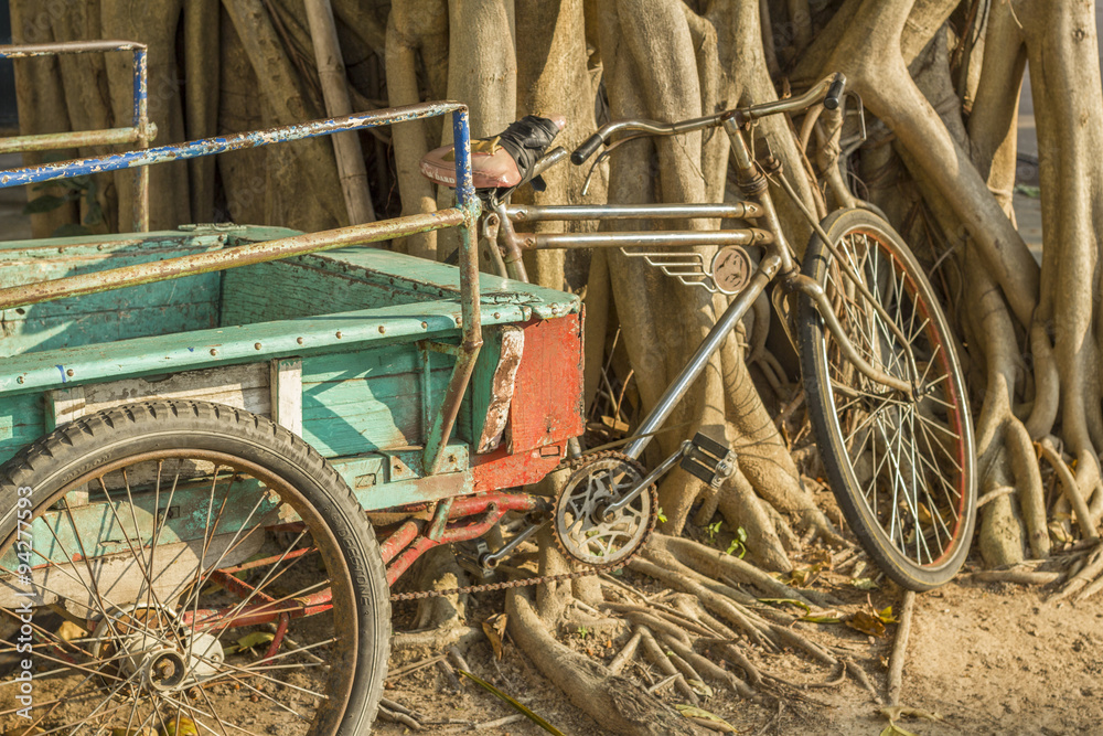 Fototapeta premium The tree root and old tricycle