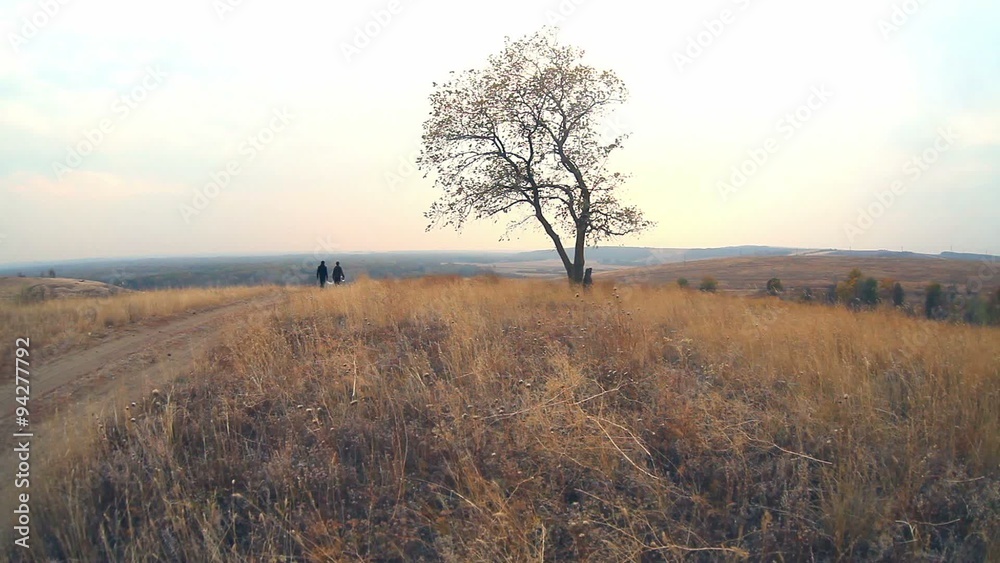 two tourists carry bag autumn nature road and lonely tree travel two tourists carry bag autumn nature road and lonely tree travel