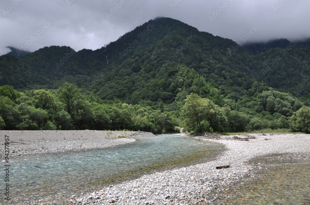 河原の木