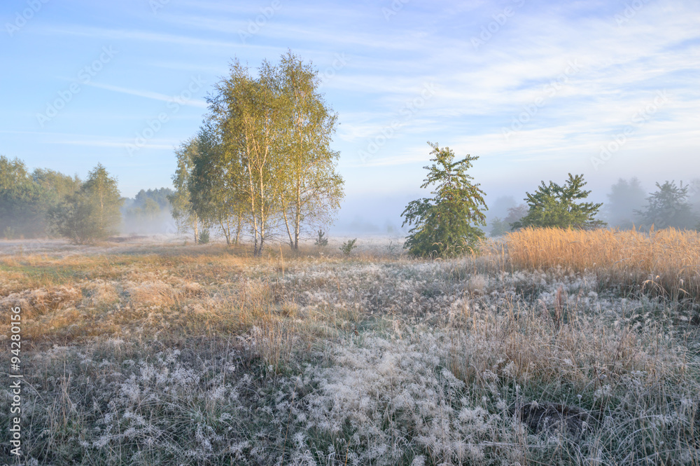 Fototapeta premium blue sky