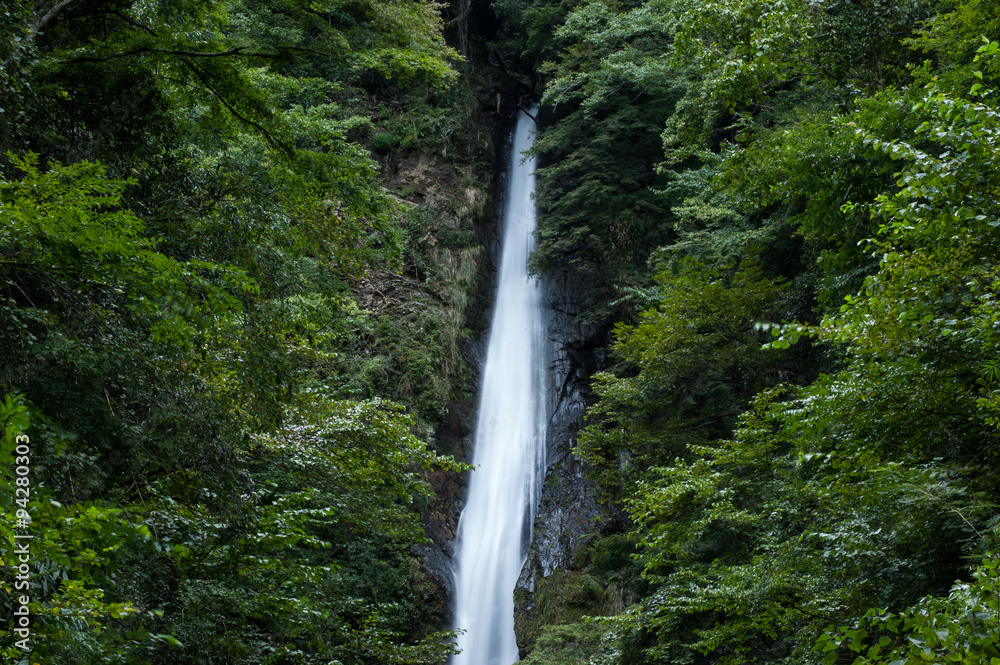 滝 滝